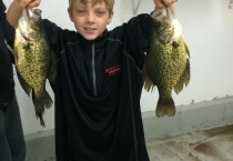 crappies