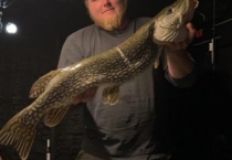 spearing-2