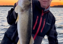 walleye