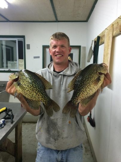Smiling man holding two large crappie fish indoors