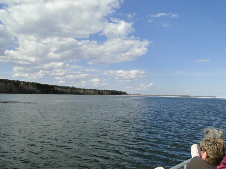 Passengers on boat enjoying scenic waterway with forested shoreline