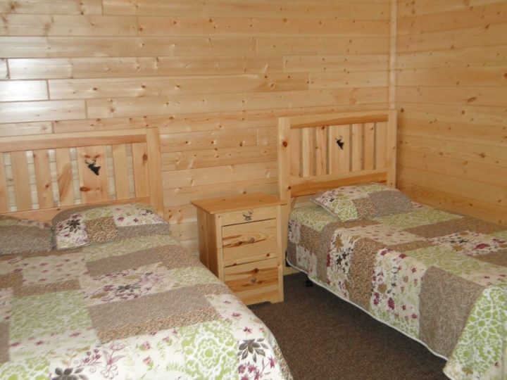 Cozy log cabin bedroom with two twin beds