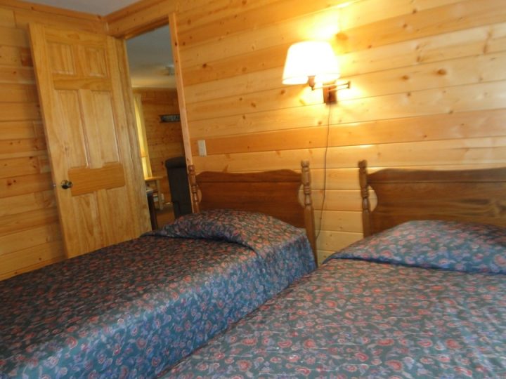 Cozy rustic cabin bedroom with two beds and wood walls