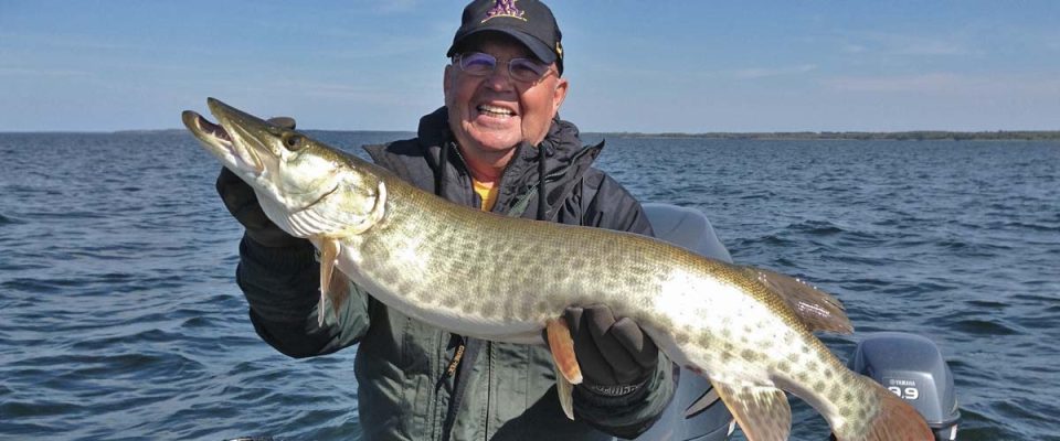 Smiling angler holding a large muskie fish on a lake