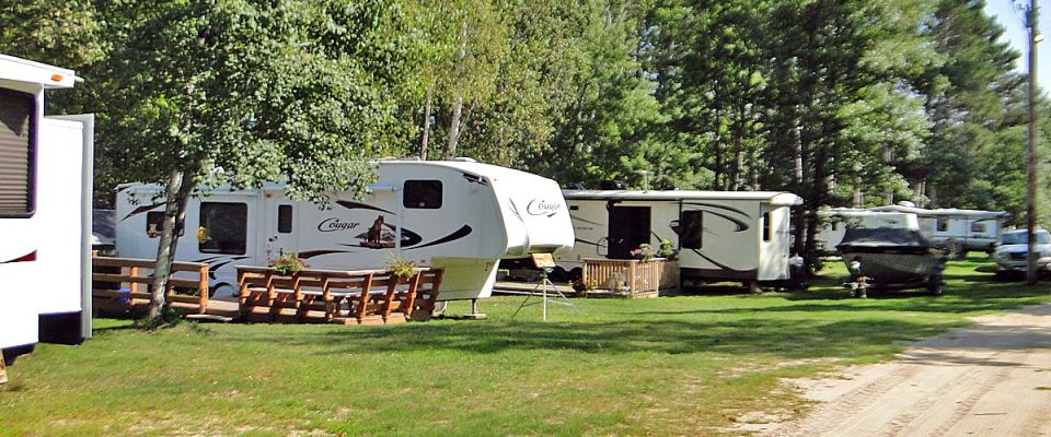 Multiple RVs parked at a tree-lined campground