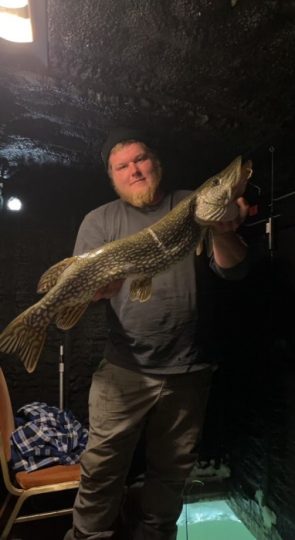 Man proudly holds large northern pike fish indoors